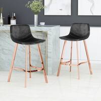 Dax Modern Glam Velvet Bar Stool (Set of 2) by Christopher Knight Home