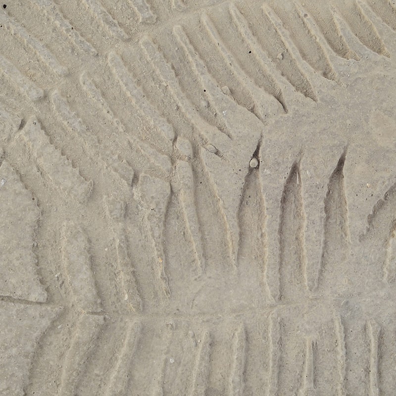 Concrete Fossil Accent Stone with Fern Leaves Imprint, Gray