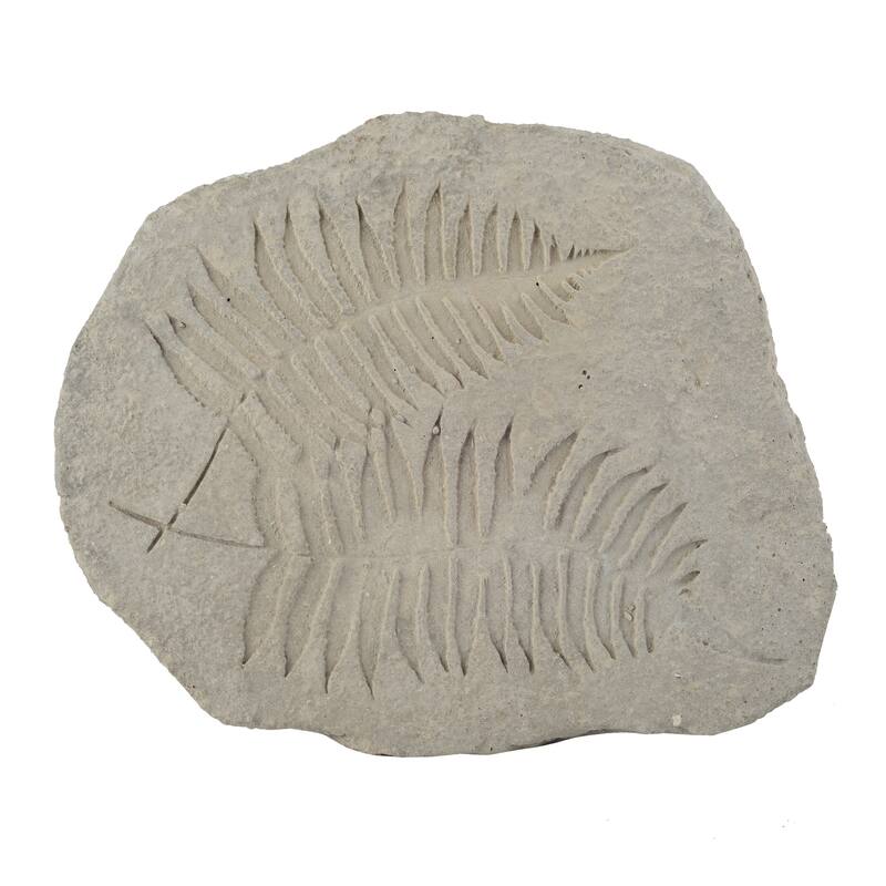 Concrete Fossil Accent Stone with Fern Leaves Imprint, Gray