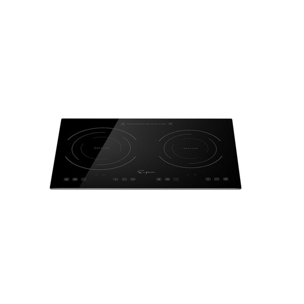 taiyo induction cooker review