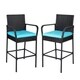 Havenside Home Alyre Wicker Patio Bar Collection - Thumbnail 14