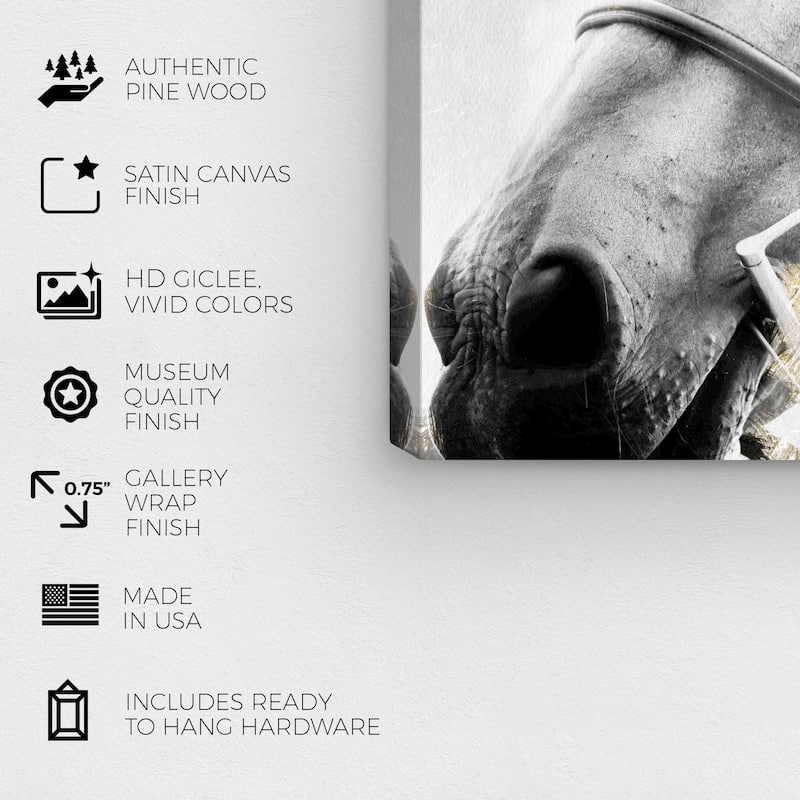 Wynwood Studio 'Horse Gold Dream' Animals Wall Art Canvas Print - White, Gold