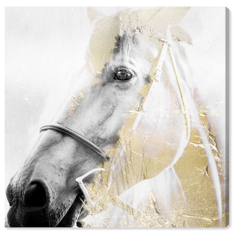 Wynwood Studio 'Horse Gold Dream' Animals Wall Art Canvas Print - White, Gold