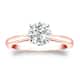 Option Rose