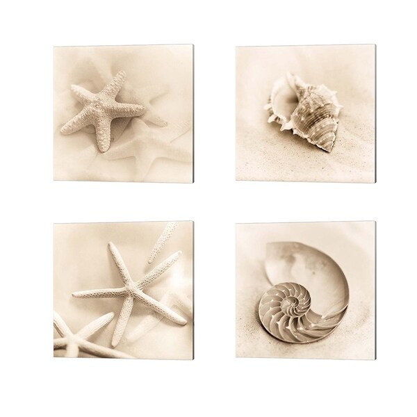 Alan Blaustein 'Il Oceano' Canvas Art (Set of 4)