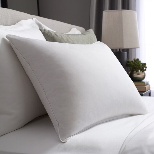 Top Product Reviews for Pacific Coast Feather Touch of Down Pillow