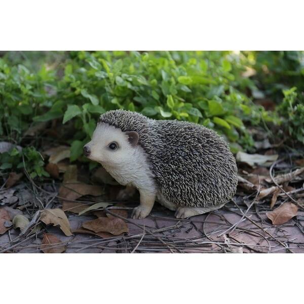 Crawling Hedgehog
