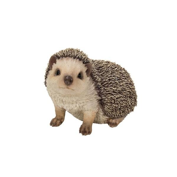 Crawling Hedgehog