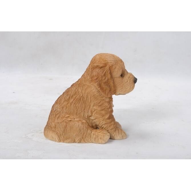Brown Cockapoo Puppy