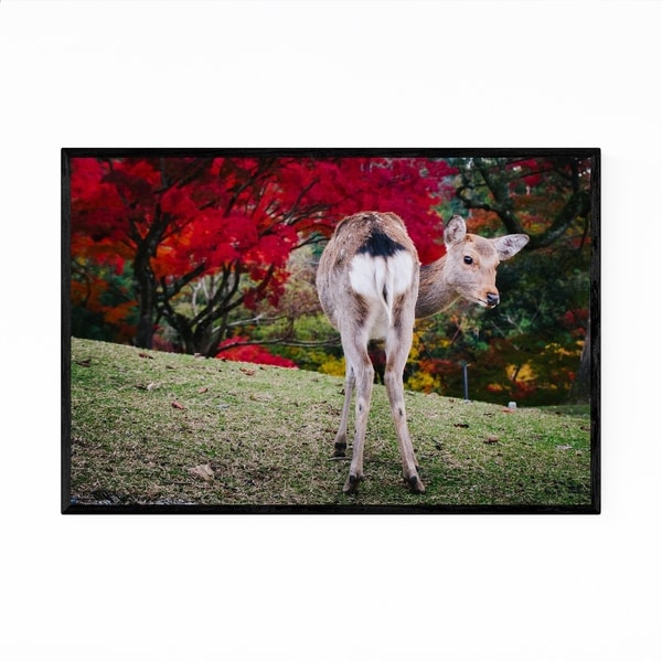 Noir Gallery Nara Japan Deer Autumn Photo Framed Art Print