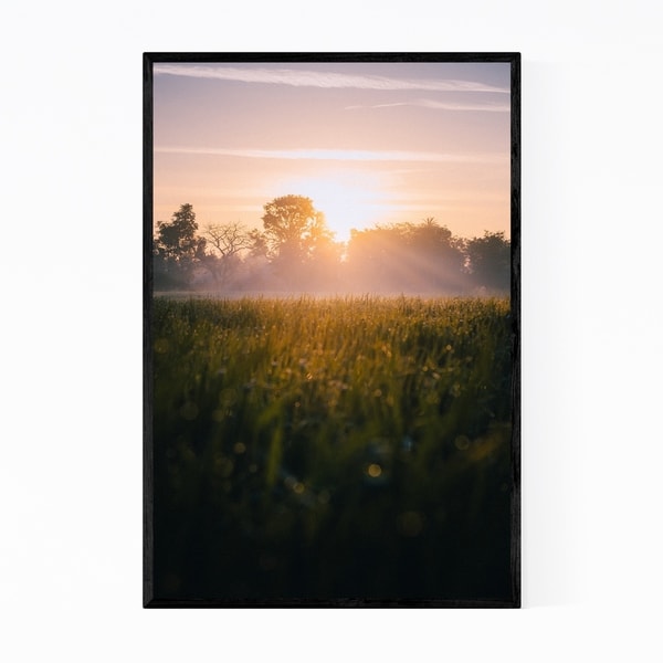 Noir Gallery Udaipur India Fog Nature Photo Framed Art Print