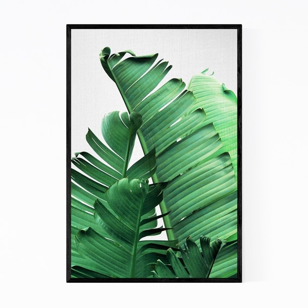 Noir Gallery Banana Leaves Botanical Framed Art Print