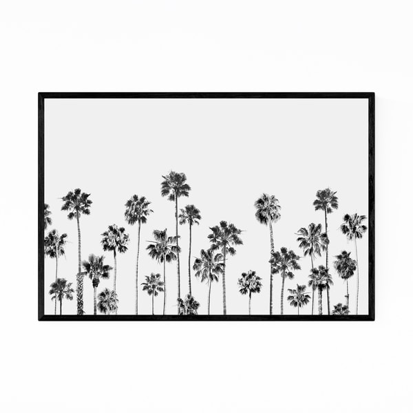 Noir Gallery Palm Trees Black & White Photo Framed Art Print