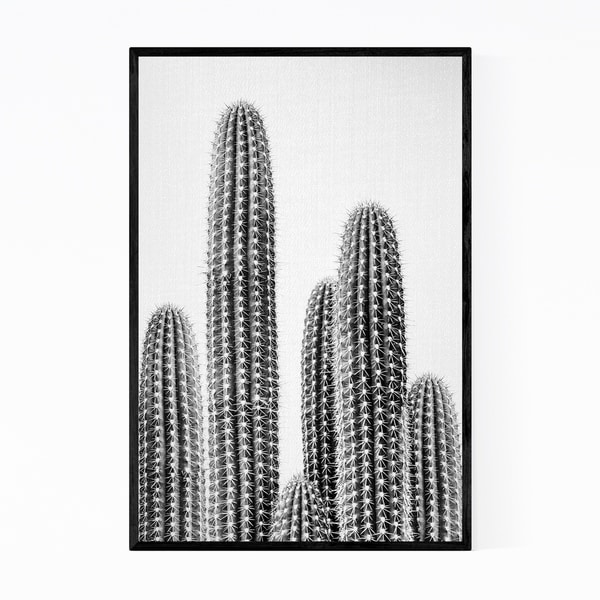 Noir Gallery Cactus Nature Black & White Photo Framed Art Print