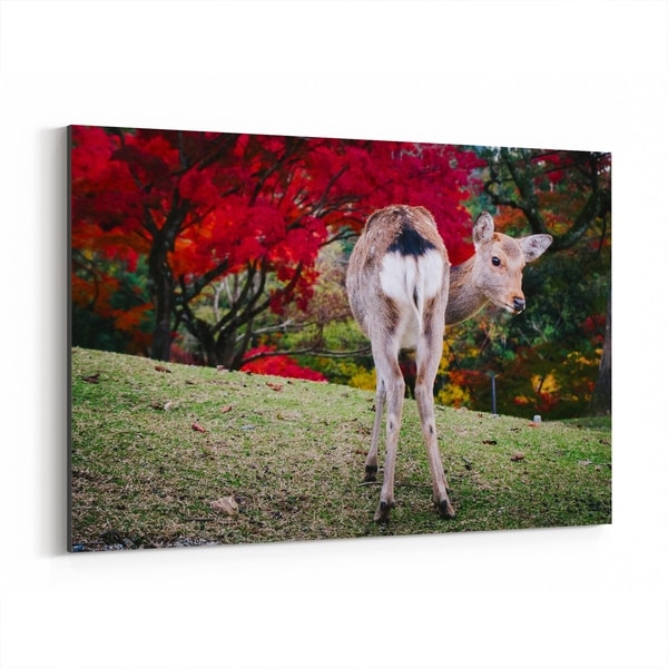 Noir Gallery Nara Japan Deer Autumn Photo Canvas Wall Art Print