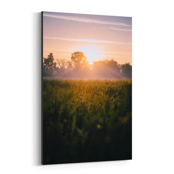 Noir Gallery Udaipur India Fog Nature Photo Canvas Wall Art Print
