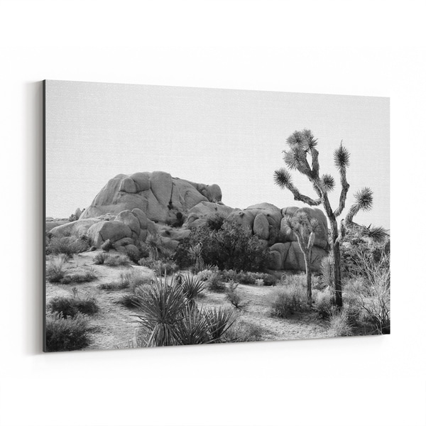 Noir Gallery Arizona Desert Nature Photo Canvas Wall Art Print