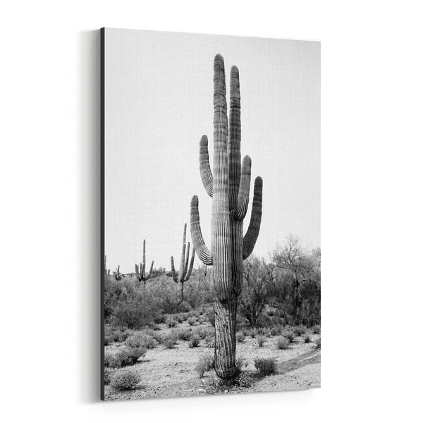 Noir Gallery Arizona Cactus Desert Nature Photo Canvas Wall Art Print