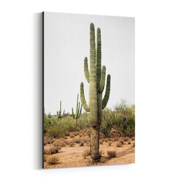 Noir Gallery Arizona Cactus Desert Nature Photo Canvas Wall Art Print
