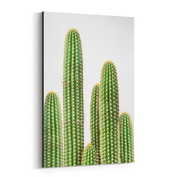 Noir Gallery Cactus Nature Photo Canvas Wall Art Print