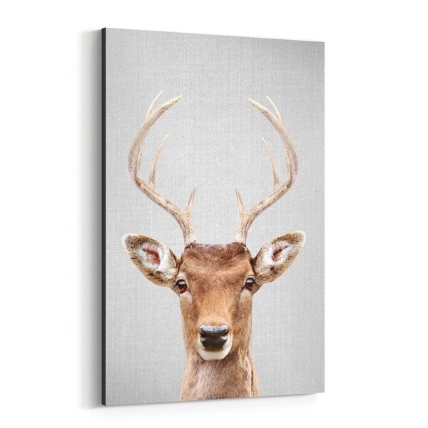 Noir Gallery Deer Animals Photo Canvas Wall Art Print