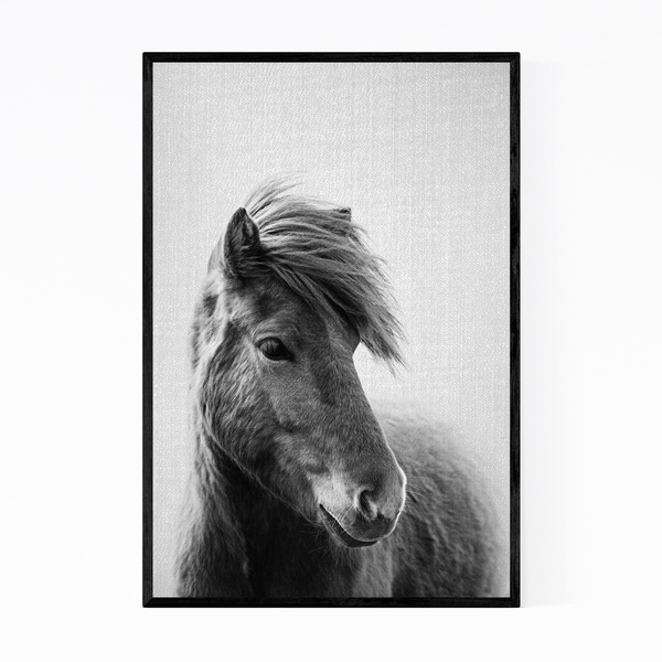 Noir Gallery Horse Animals Black & White Photo Framed Art Print