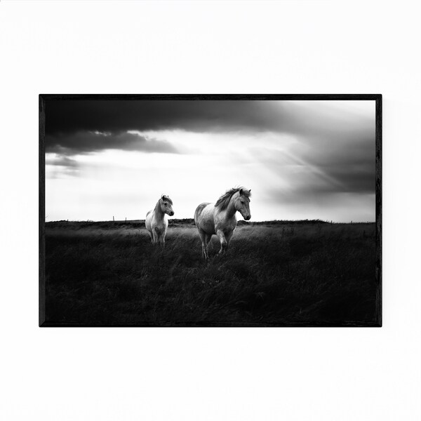 Noir Gallery Iceland Nature Photo Framed Art Print