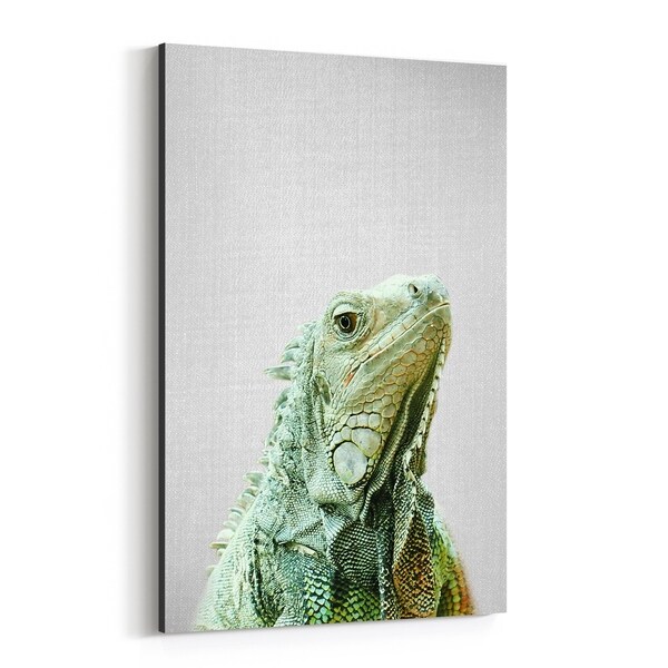 Noir Gallery Iguana Animals Photo Canvas Wall Art Print