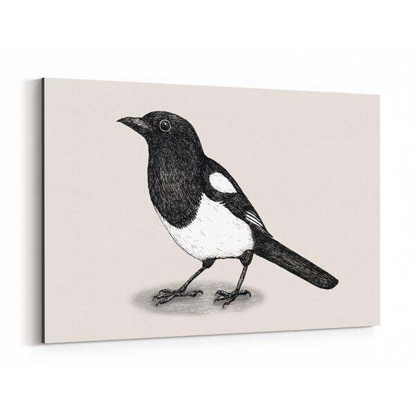 Noir Gallery Bird Animal Magpie Illustration Canvas Wall Art Print