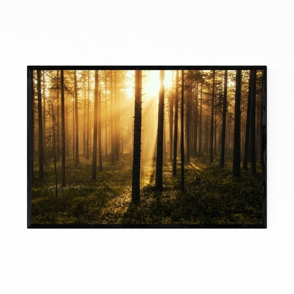 Noir Gallery Sweden Forest Nature Photo Framed Art Print