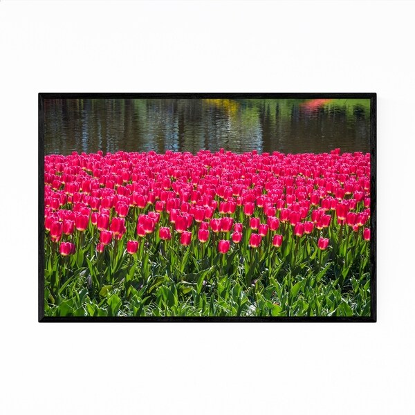 Noir Gallery Keukenhof Netherlands Tulips Photo Framed Art Print