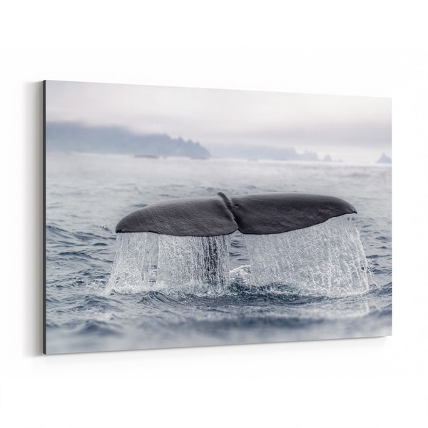Noir Gallery Norway Nature Sperm Whale Canvas Wall Art Print