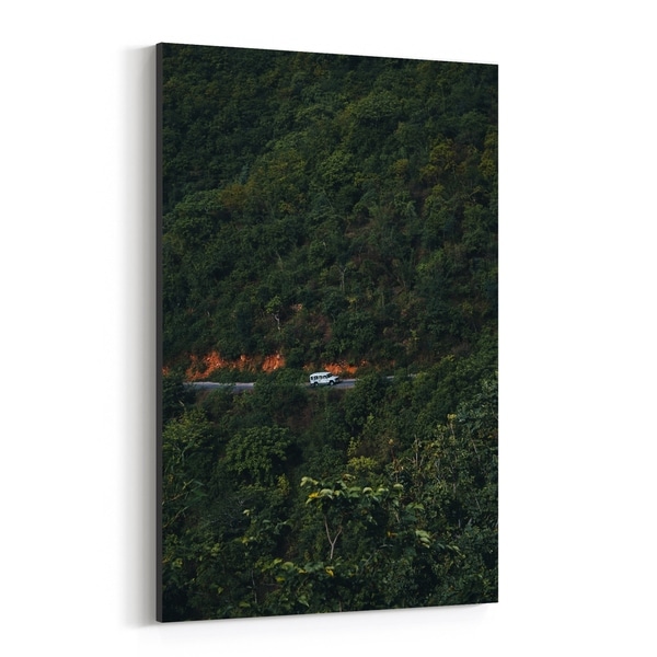 Noir Gallery Udaipur India Forest Photo Canvas Wall Art Print