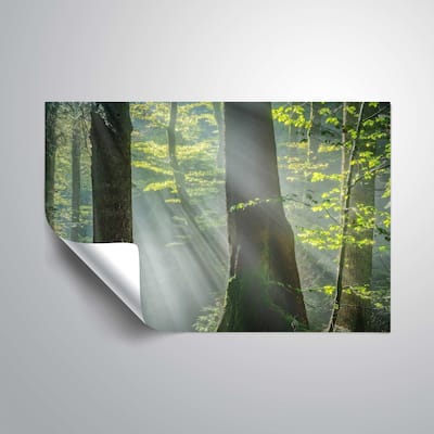 "Shower of light" Removable Wall Art Mural