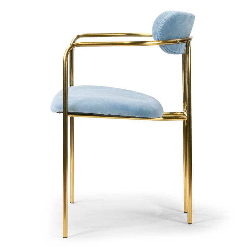 Set of 2 Anaya Light Blue Velvet Dining Chair - N/A
