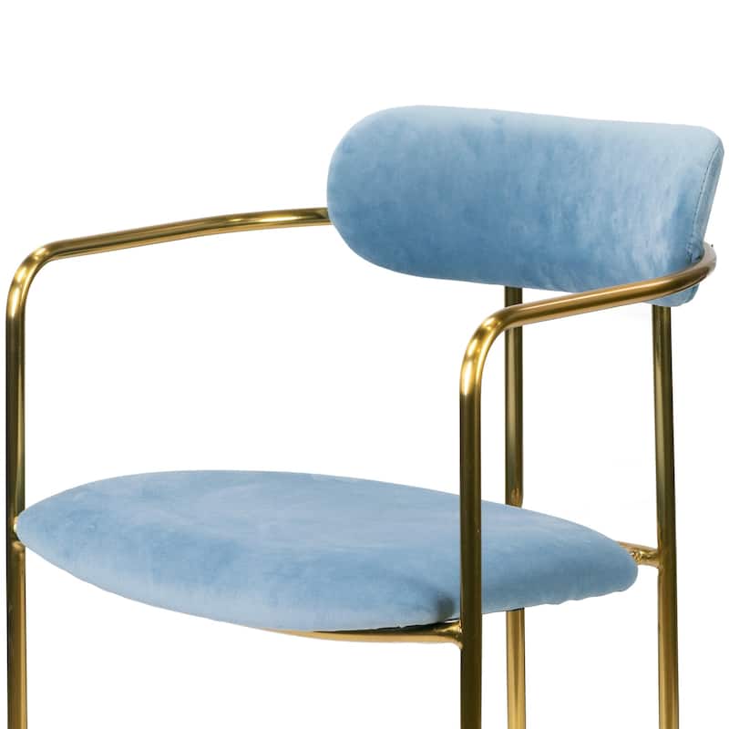 Set of 2 Anaya Light Blue Velvet Dining Chair - N/A
