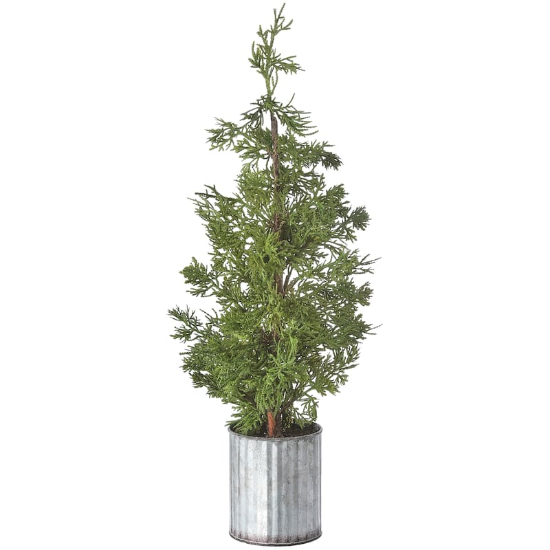 Mini Cedar Tree in Galvanized Pot 26" - 26-inch