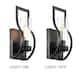 Anastasia 1 Light Wall Sconce with Clear Glass Shade and Curved Frame