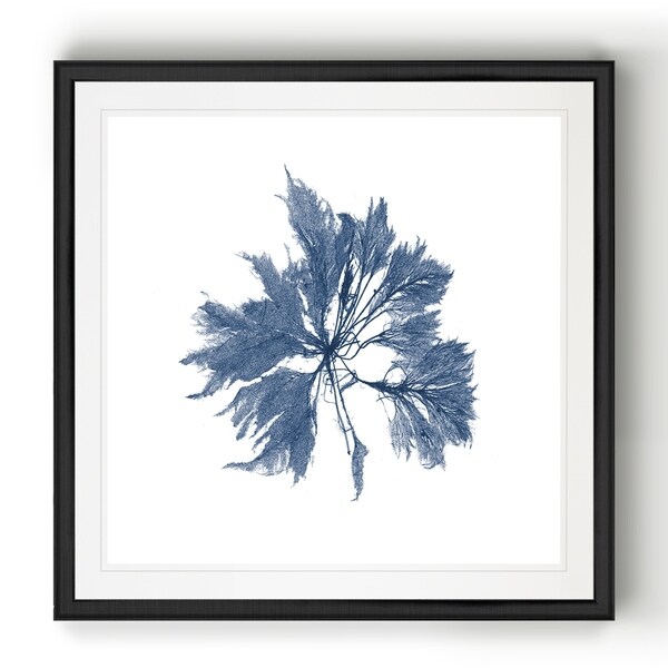 Navy Seaweed I -Black Framed Print. Opens flyout.