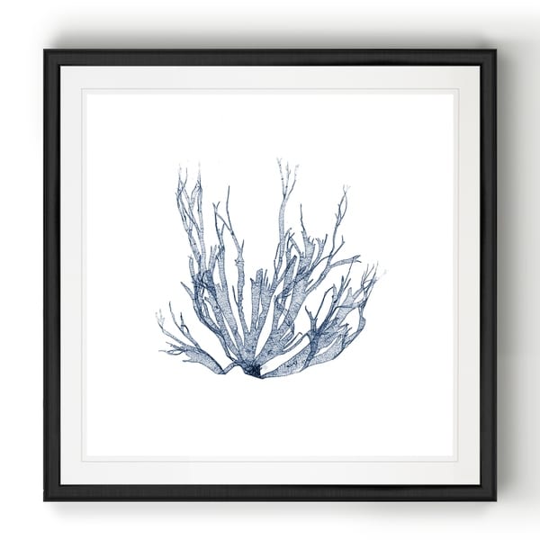 Navy Seaweed IV -Black Framed Print. Opens flyout.