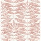 Option Coral