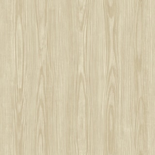 Primrose Eggshell Faux Wood Texture Wallpaper - Bed Bath & Beyond 