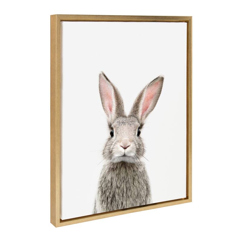 Kate and Laurel Sylvie Female Rabbit Framed Canvas By Amy Peterson