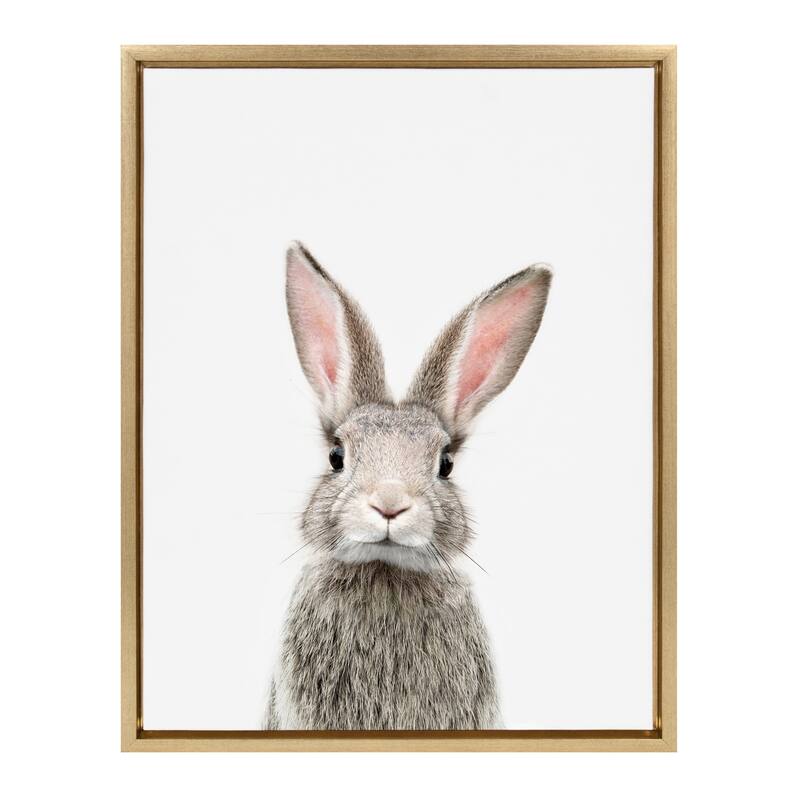 Kate and Laurel Sylvie Female Rabbit Framed Canvas By Amy Peterson - 18x24 - Plastic - Gold