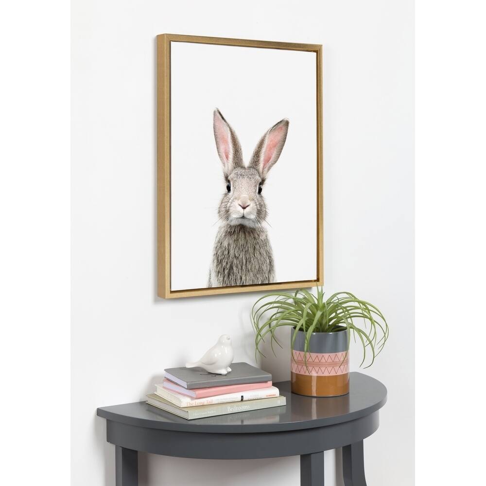 Kate and Laurel Sylvie Female Rabbit Framed Canvas By Amy Peterson