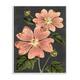 Stupell Botanical Drawing Pink Flower On Black Design Wood Wall Art ...