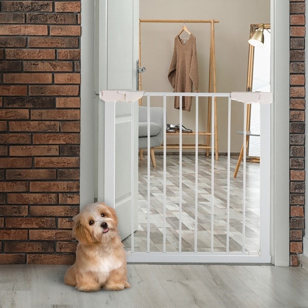 Mounted store pet gate