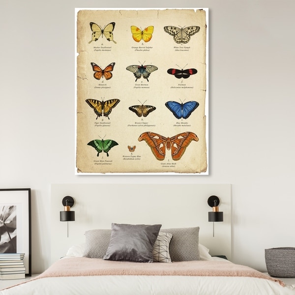 Oliver Gal 'Butterfly Chart' Animals Wall Art Canvas Print - Brown, Blue
