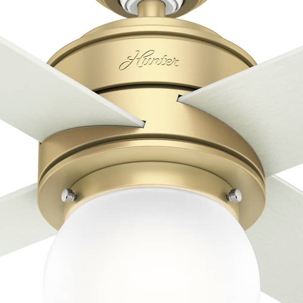 Shop Hunter 44 Hepburn Modern Brass Ceiling Fan With Led Light