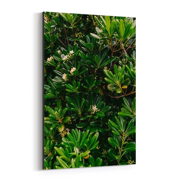Noir Gallery Positano Italy Beach Floral Photo Canvas Wall Art Print